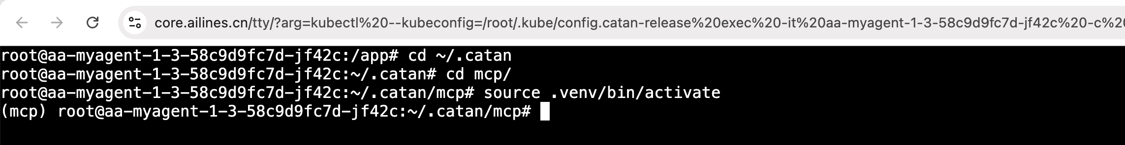 agent cmd