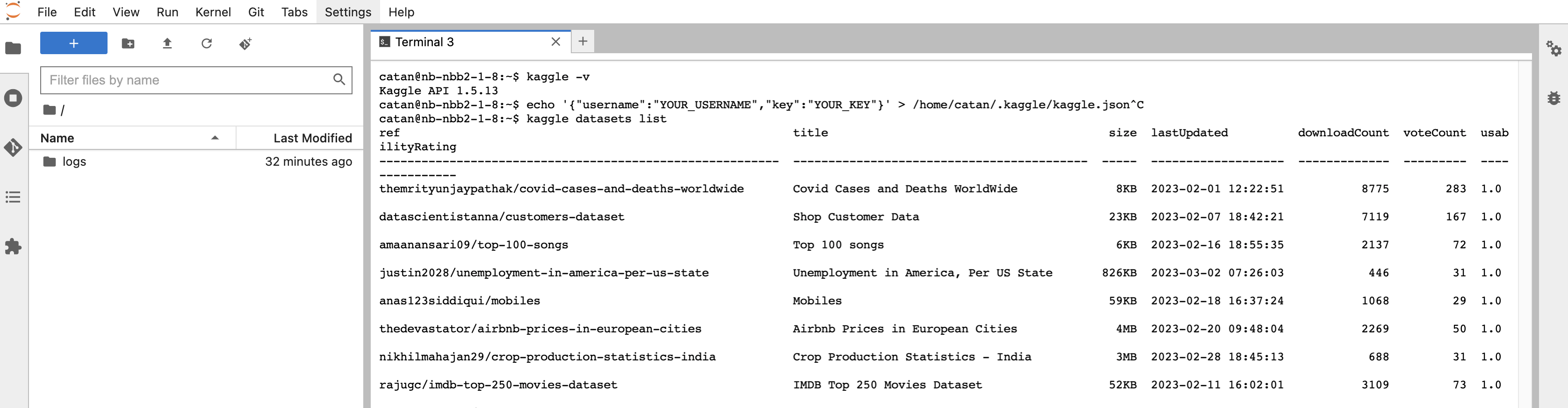 kaggle datasets