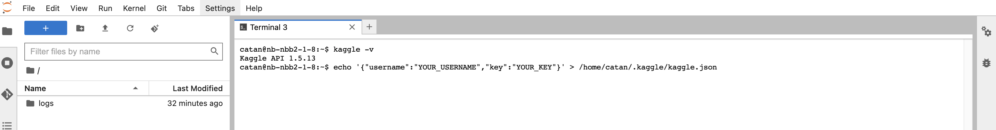 kaggle json