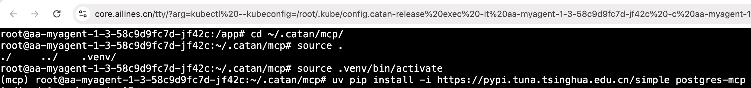 uv install mcp